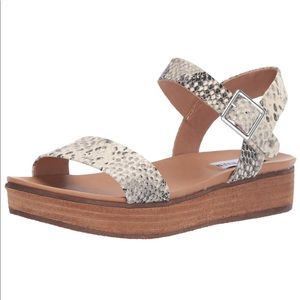 STEVE MADDEN AIDA NATURAL SNAKE
